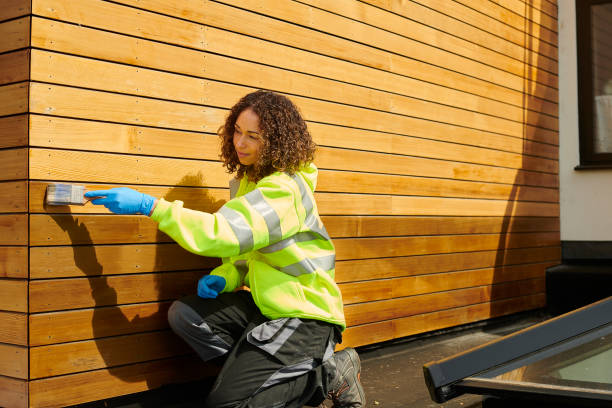 Best Fiber Cement Siding Installation  in Lake St Croix Beach, MN