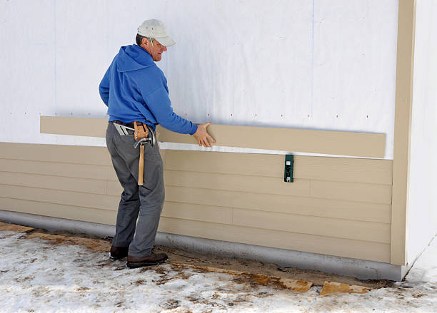 Best Siding Painting and Refinishing  in Lake St Croix Beach, MN